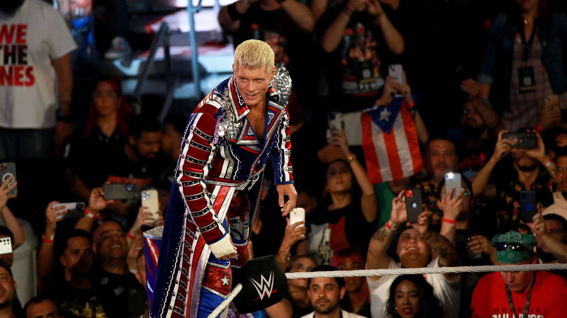 不僅擁有細 不僅擁有細