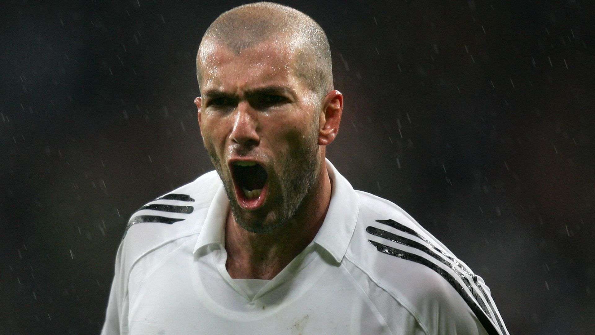 待看到巴洛 待看到巴洛